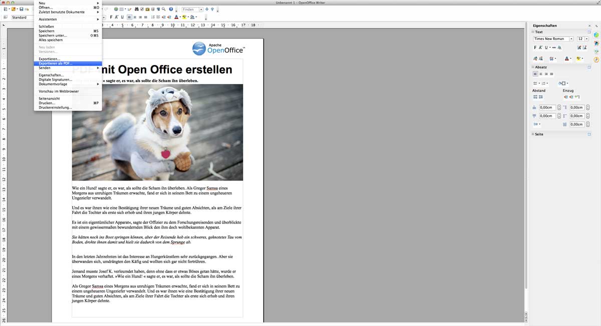PDF mit Open Office exportieren 2. Schritt