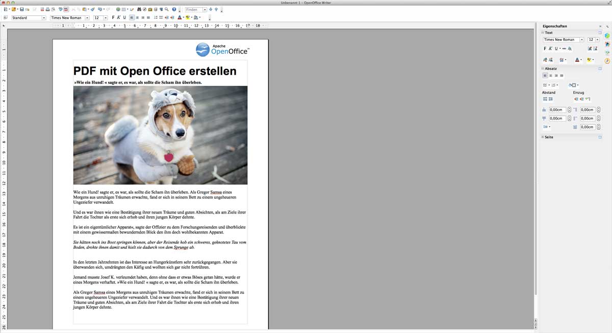 PDF mit Open Office erstellen 1. Schritt